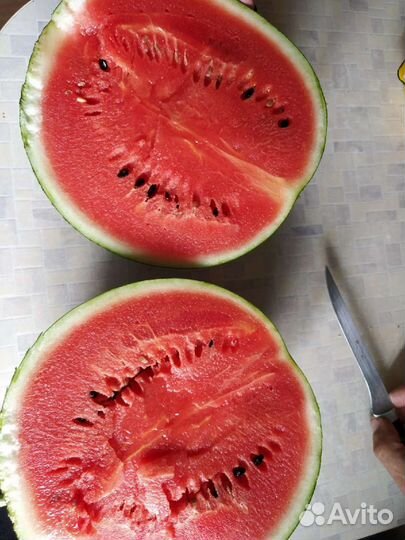 Семена арбуза