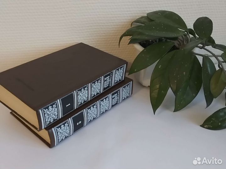 Лев Толстой Война и мир роман в 2 томах