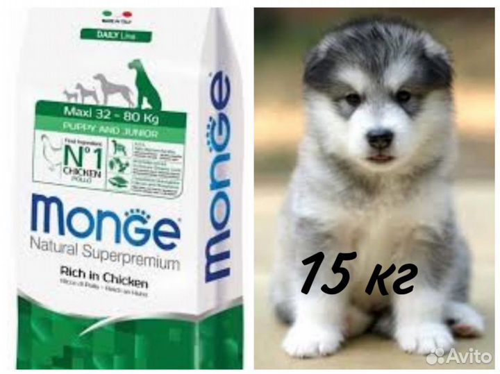 Корм Monge Монж для щенков 3 кг