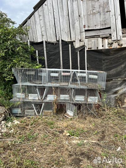 Клетка для животных