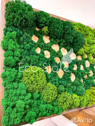 Картина со мхом и спиллами