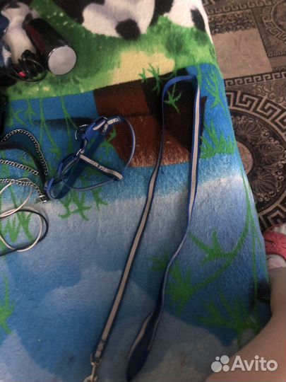 Шлейка с поводком на собачку или на кошечку