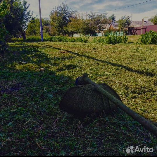 Покос травы