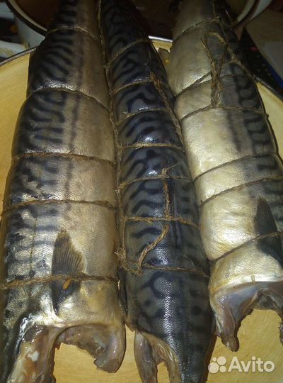 Коптильня холодного и горячего копчения