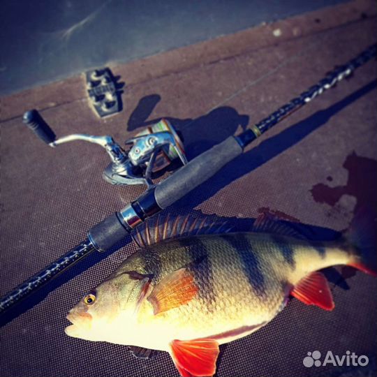 Рыбалка с лодки (гидом)