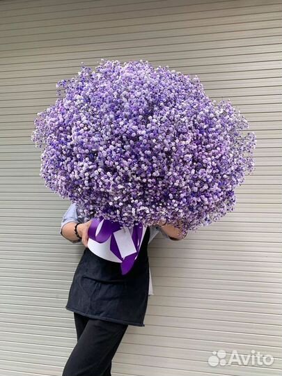 Букеты Гипсофилы