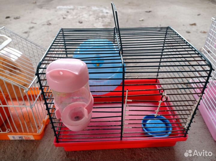 Клетки для джунгарского хомяка