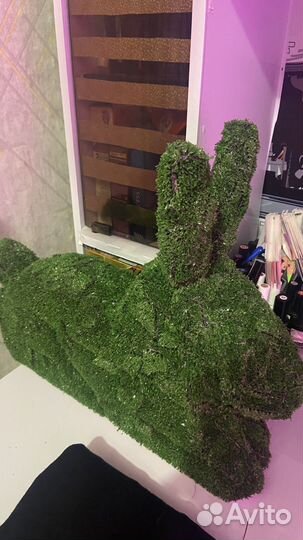 Заяц для огорода или сада