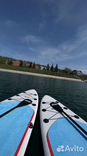 Sup board аренда
