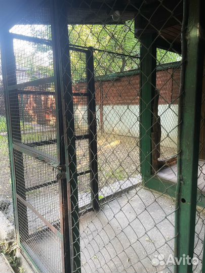 Гостиница для собак