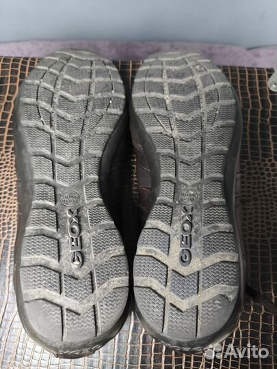 Мужская обувь geox 44