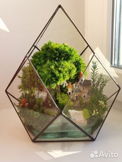 Флорариум моссариум