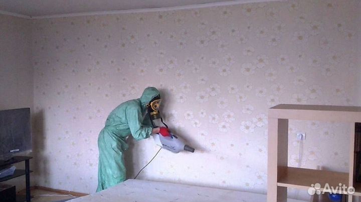 Средство для Уничтожения клопов травля тараканов дезинфекции