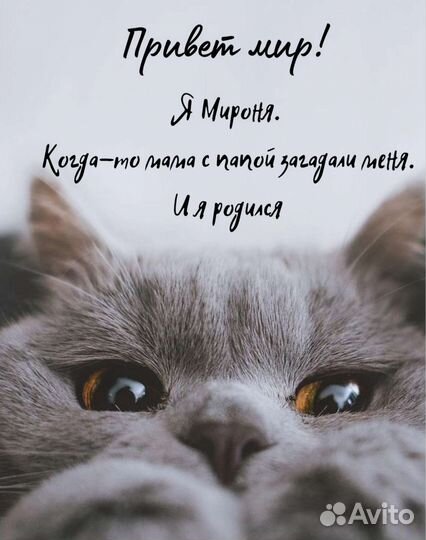 Метрики и картинки для новорожденных