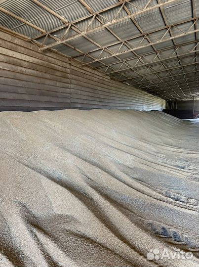 Пшеница ячмень