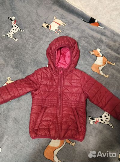 Демисезонная куртка тополино