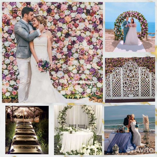 Свадьба Выездная Регистрация Фотограф Оформление