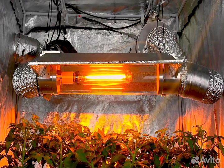 Днат - сборки разной мощности