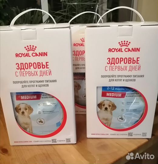 Собака