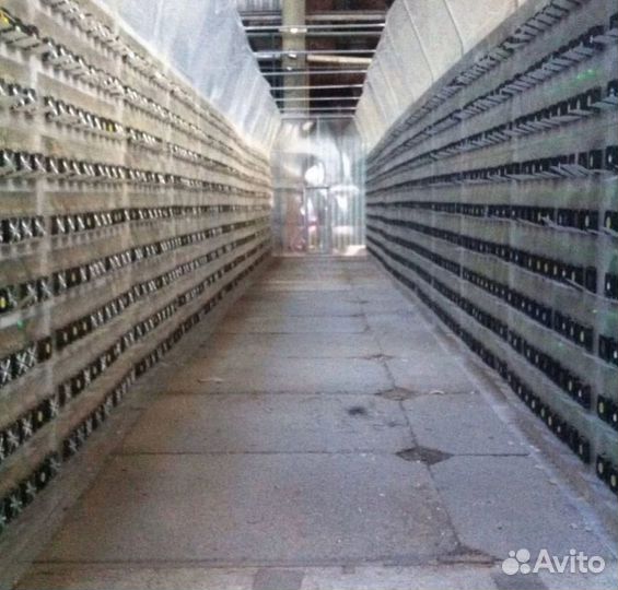 Майнинг отель, Хостинг. Размещение оборудования