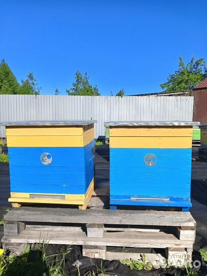 Улей для пчел