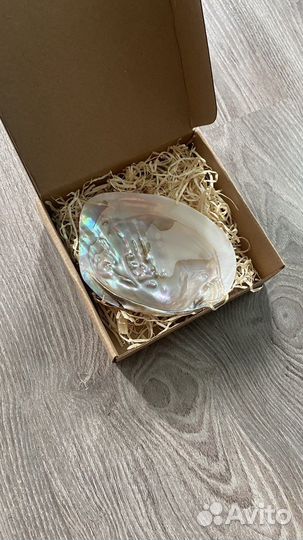 Ракушка интерьерная для пало санто, украшений