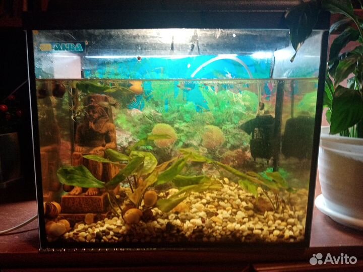 Аквариум