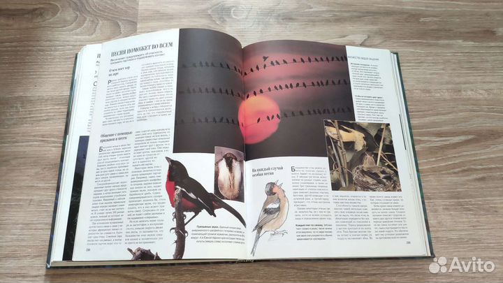 Книга секреты природы ридерз дайджест