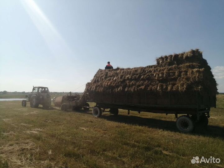 Продам сено