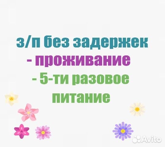 Сиделка, жилье питание бесплатное