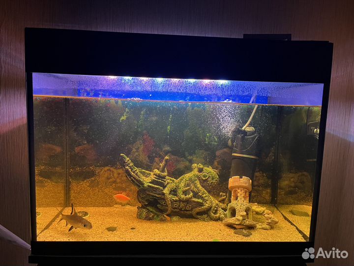 Аквариум 80 литров и тумба