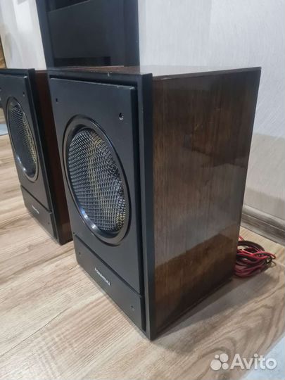 Акустические колонки Романтика 10ас 207
