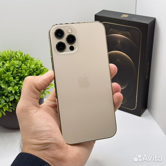 iPhone 12 Pro, 512 ГБ