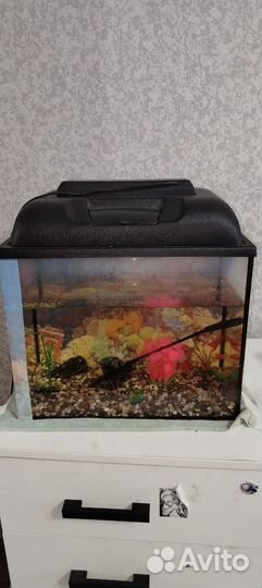 Аквариум
