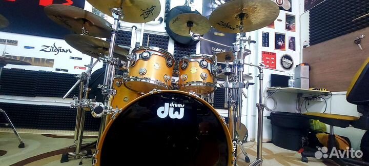 DW collectors maple