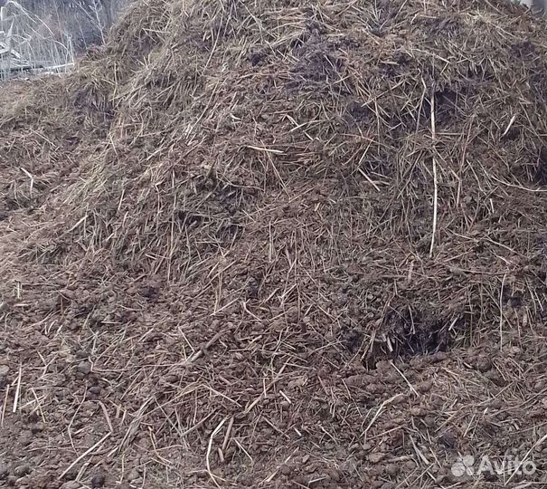 Конский навоз