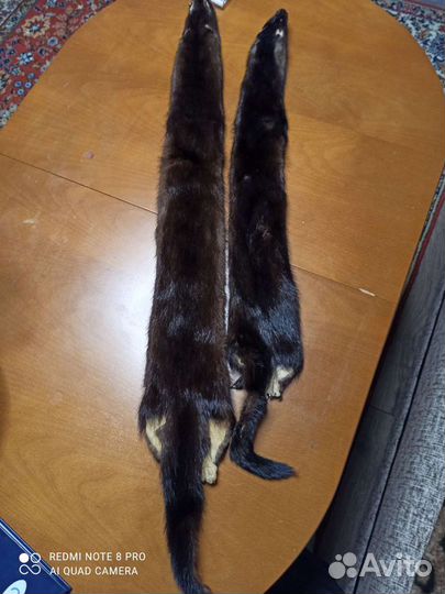Шкурки норки