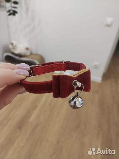 Ошейник для кошек мелких собак