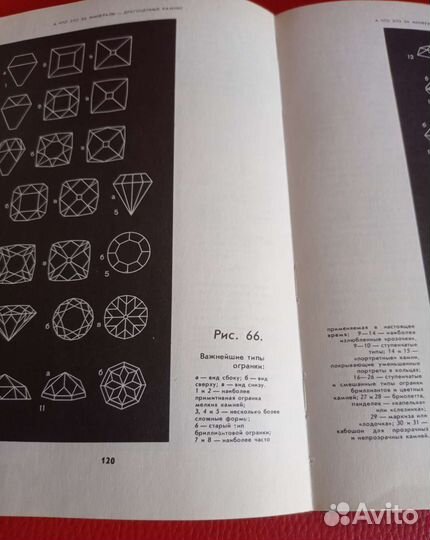 Соболевский