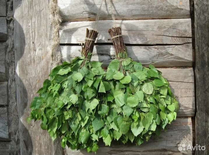 Веники для бани. Берёза, дуб