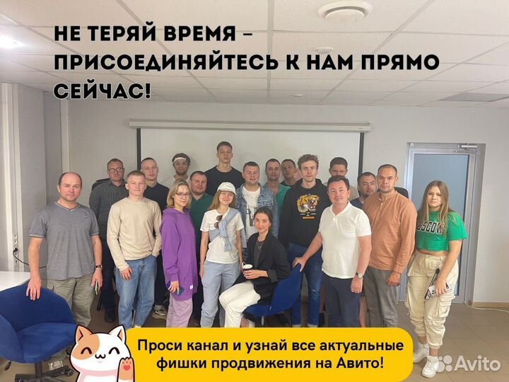 Заявки Бесплатно Настройка рекламы Авито