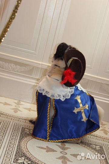 Костюмы напрокат для собак и кошек