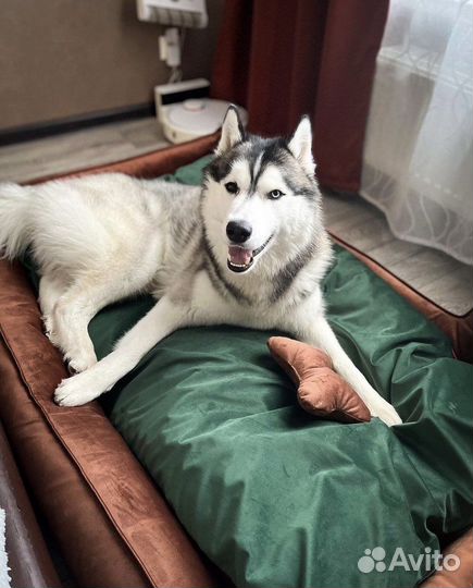 Лежанки для животных