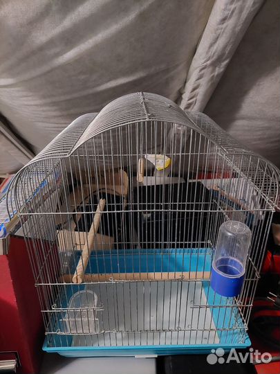 Клетка для попугая