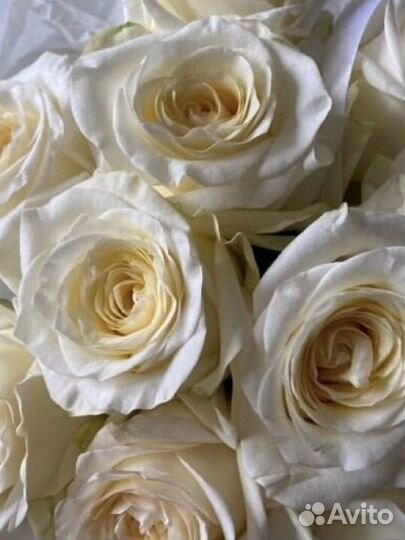 Пионовидные розы Цветы Доставка