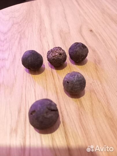 Рудракша. Неочищена. Бусина