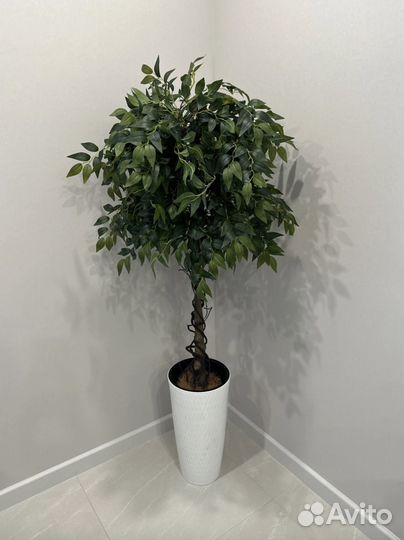 Фикус Бенджамина искусственный