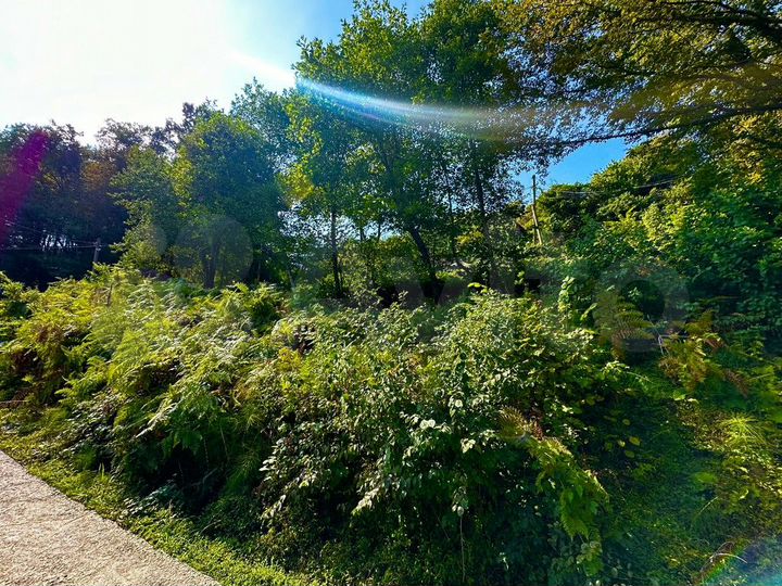 Участок 4 сот. (СНТ, ДНП)