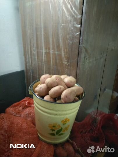 Продам картофель