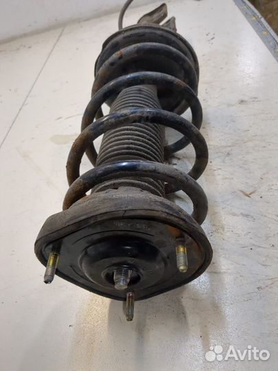 Амортизатор подвески левый задний Subaru Forester (S11)